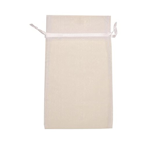 JAM PAPER Sheer Bags - Large 5.5