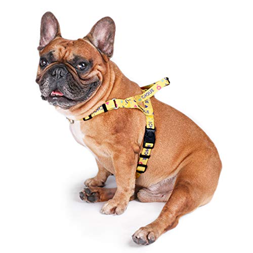 Multi Color Harness
