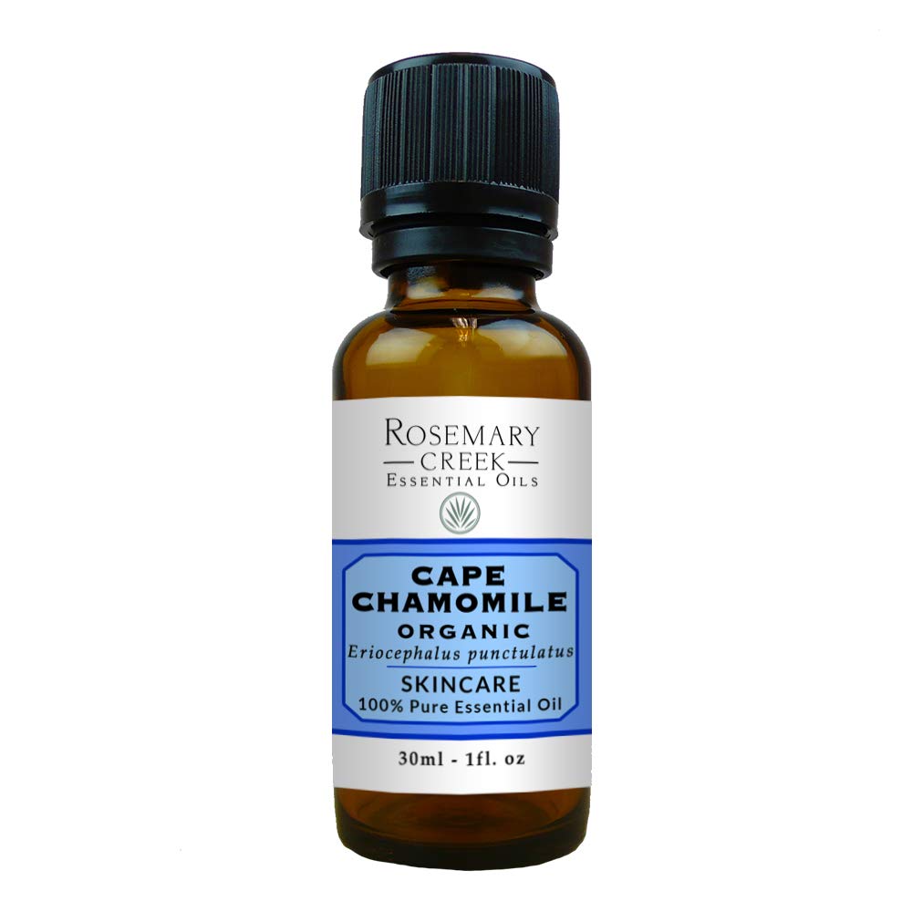 Organic Cape Chamomile Essential Oil (Eriocephalus punctulatus) - 100% Pure Natural Aromatherapy Oil for Skincare, Massage Therapy & Stress Relief - Rosemary Creek Essential Oils (30ml/1oz) - Perfect for Diffusers, Baths & DIY Beauty Products