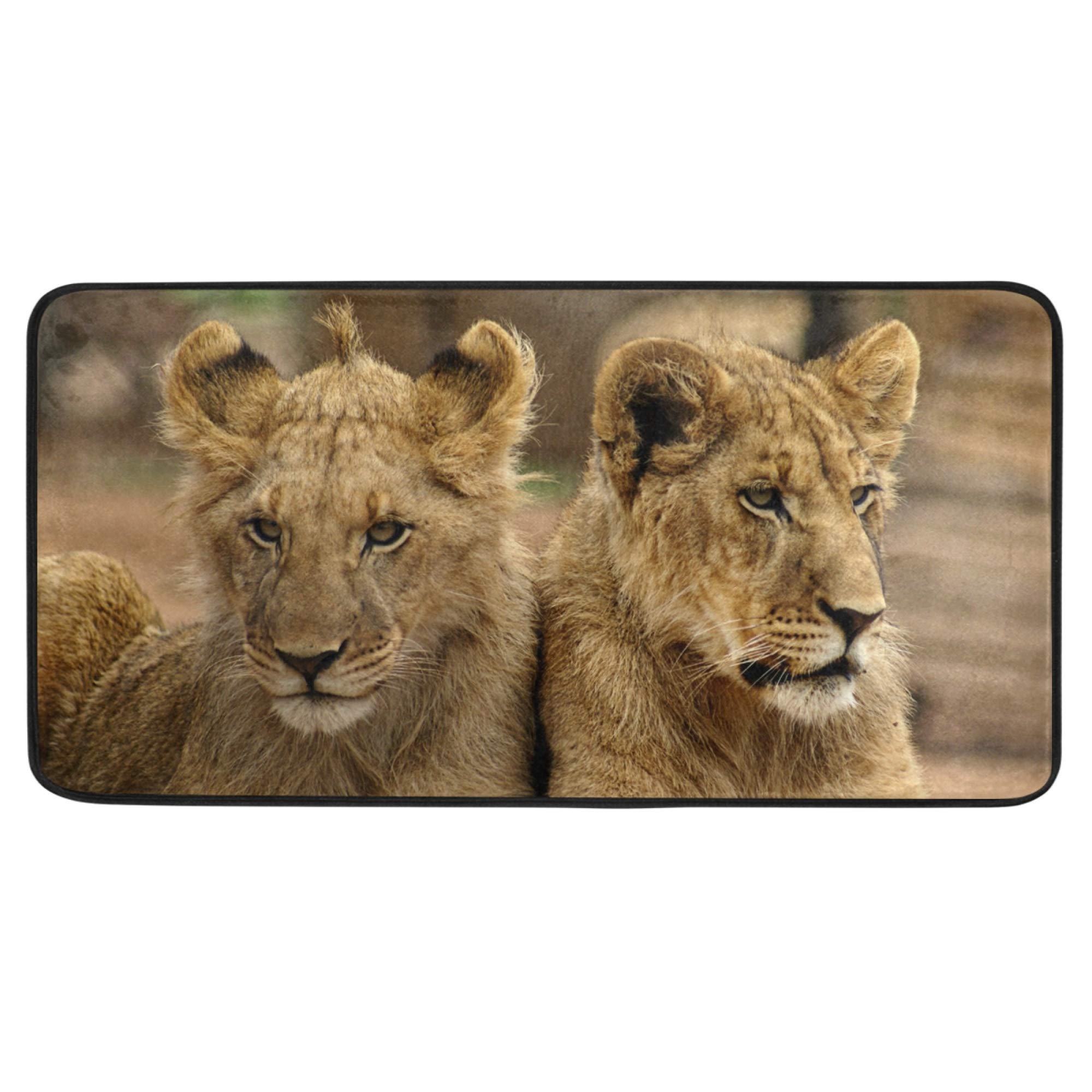 Linqin Absorbent Kitchen Mat - 39