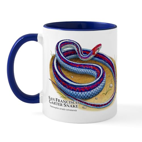 White/Navy Inside - San Francisco Garter Snake Mug
