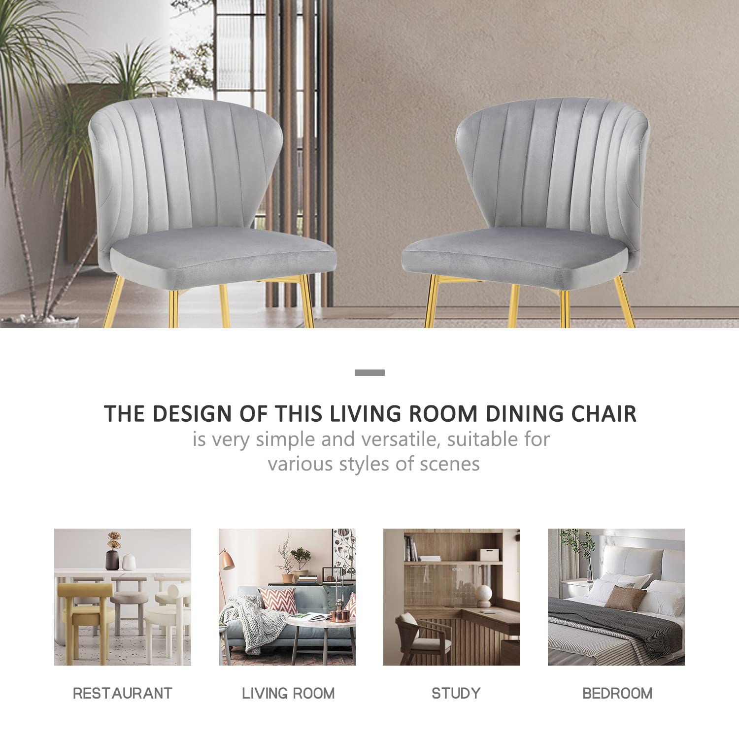 Luxury Nrizc Velvet Upholstered Dining Chairs Set of 4 - Mid Century Modern Design with Golden Metal Legs for Dining Room, Kitchen & Living Room - Soft Grey Fabric - Perfect for Family Dinners, Entertaining Guests & Home Decor