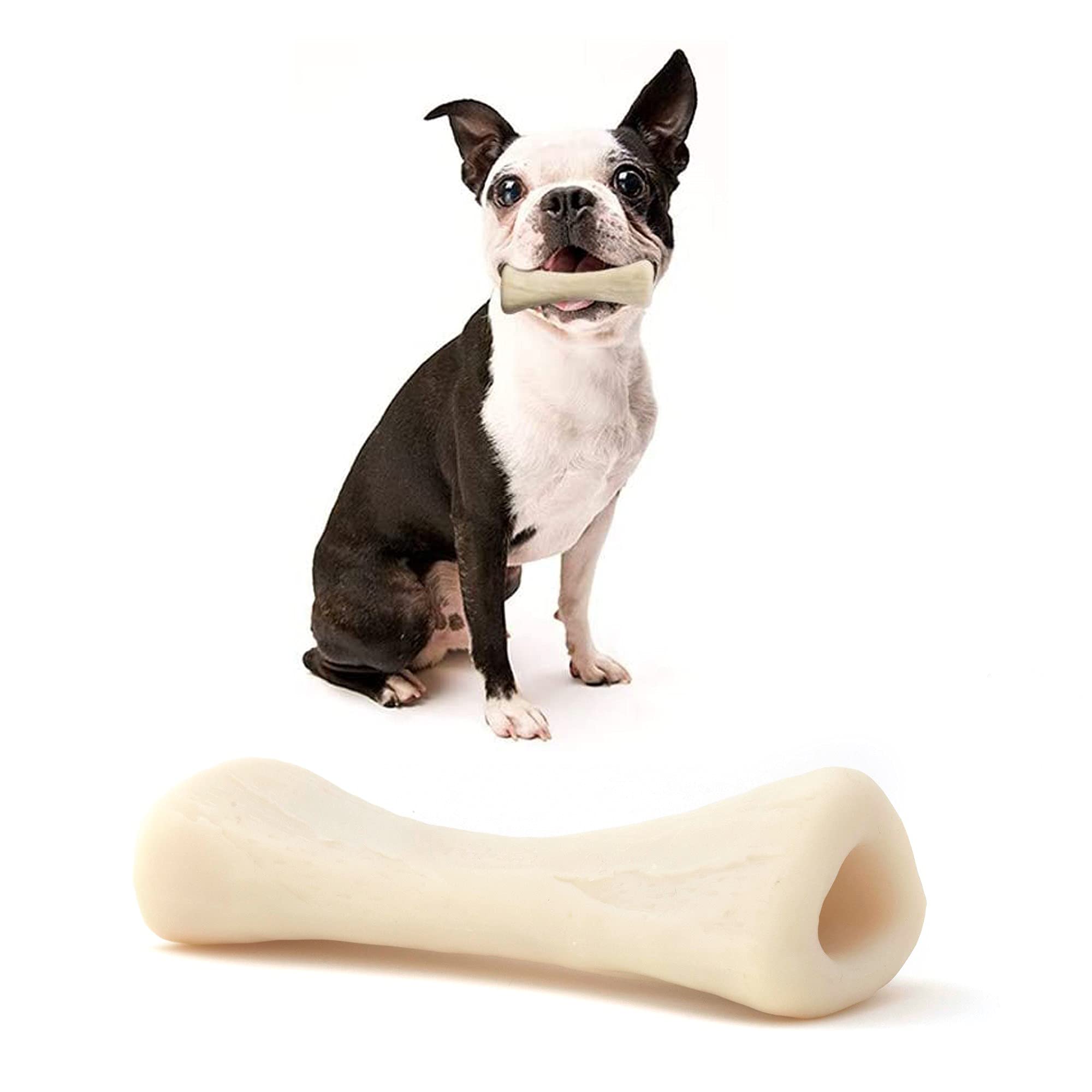 Durable Hard Nylon Chew Toy for Aggressive Chewers - Tough Dog Bone Toy for Small Breeds & Teething Puppies (Up to 22 lb) - Perfect for Playtime, Training & Dental Health