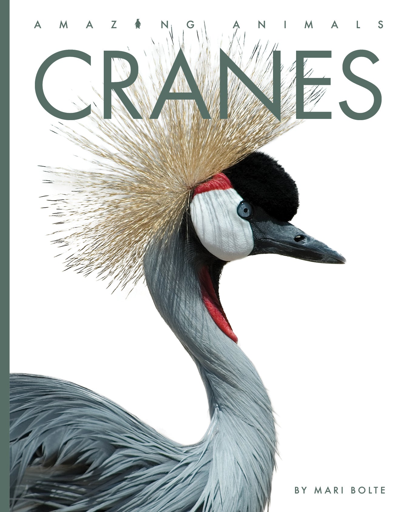 2025 Amazing Cranes: Stunning Wildlife Photography & Bird Watching Guide | Perfect for Nature Lovers & Outdoor Enthusiasts