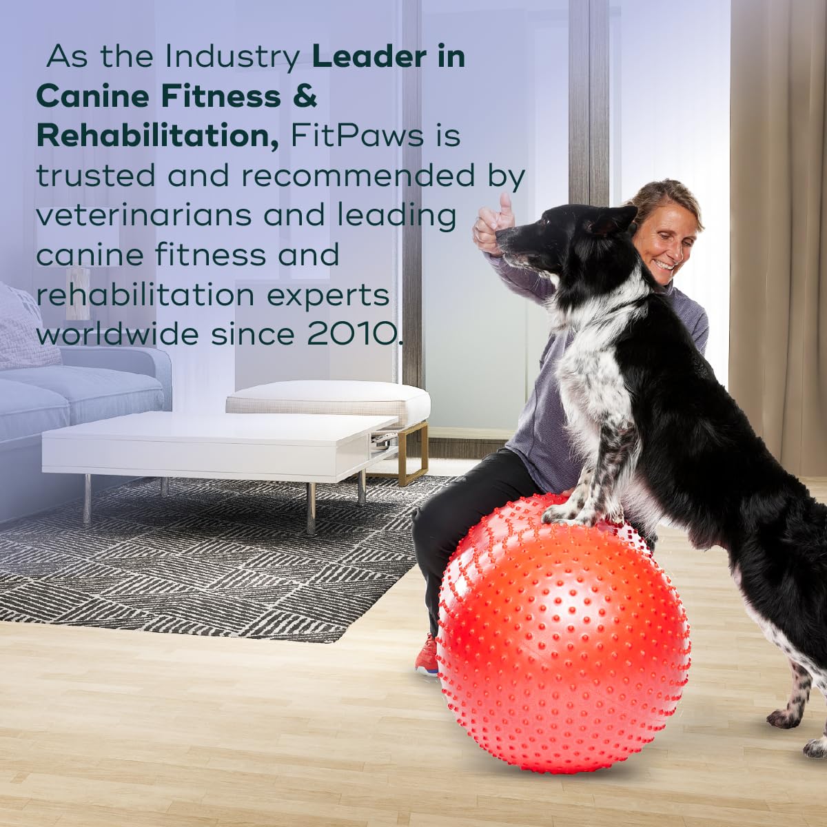 FitPAWS TRAX Balance Peanut 20