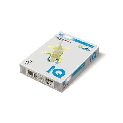 Premium A4 80gsm IQ Intense Color Paper - 500 Sheets, Gray | Ideal for Office Printing, School Projects & Creative Designs