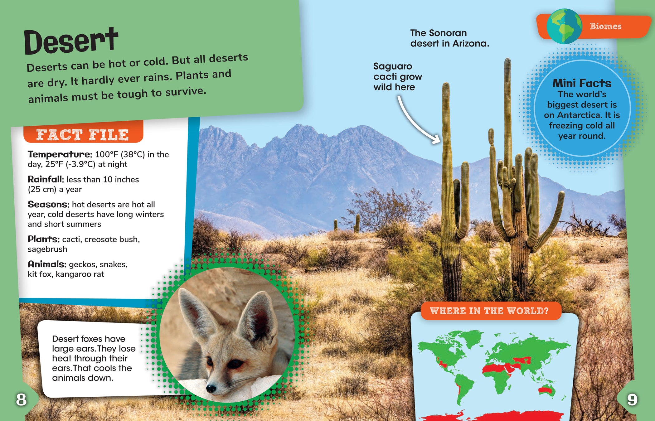 Biomes and Habitats - Explore Diverse Ecosystems & Wildlife Environments for Education, Science Projects & Nature Exploration