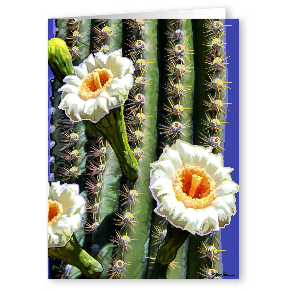 Stonehouse Collection | 10-Pack Saguaro Cactus Bloom Note Cards Set | Southwest Desert Greeting Cards with Floral Design | Perfect for Thank You Notes, Birthday Wishes & Home Decor