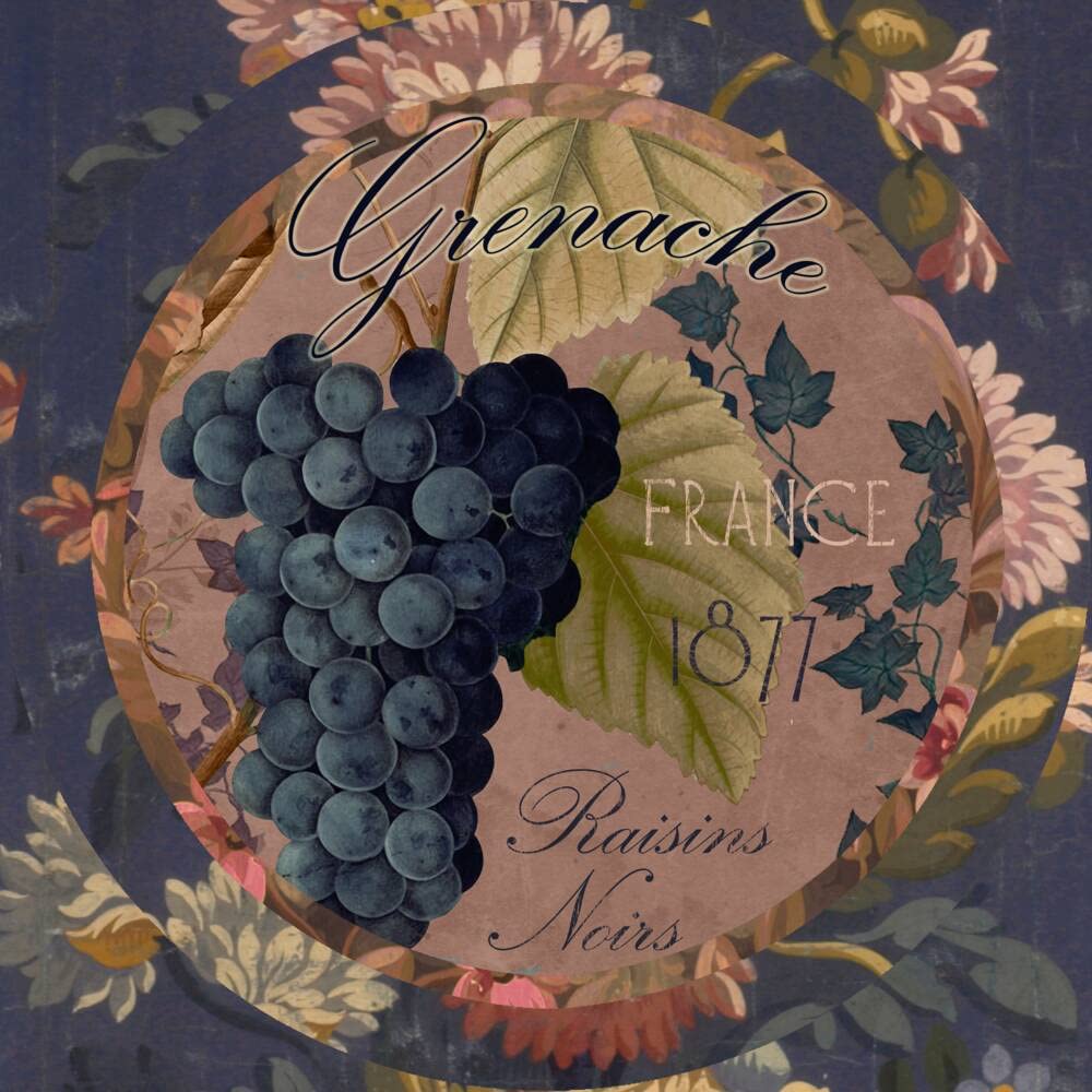 Color Bakery Wines of France IV Accent Tile - Handmade Ceramic Wall & Floor Tile for Kitchen Backsplash, Bathroom, and Fireplace Decor