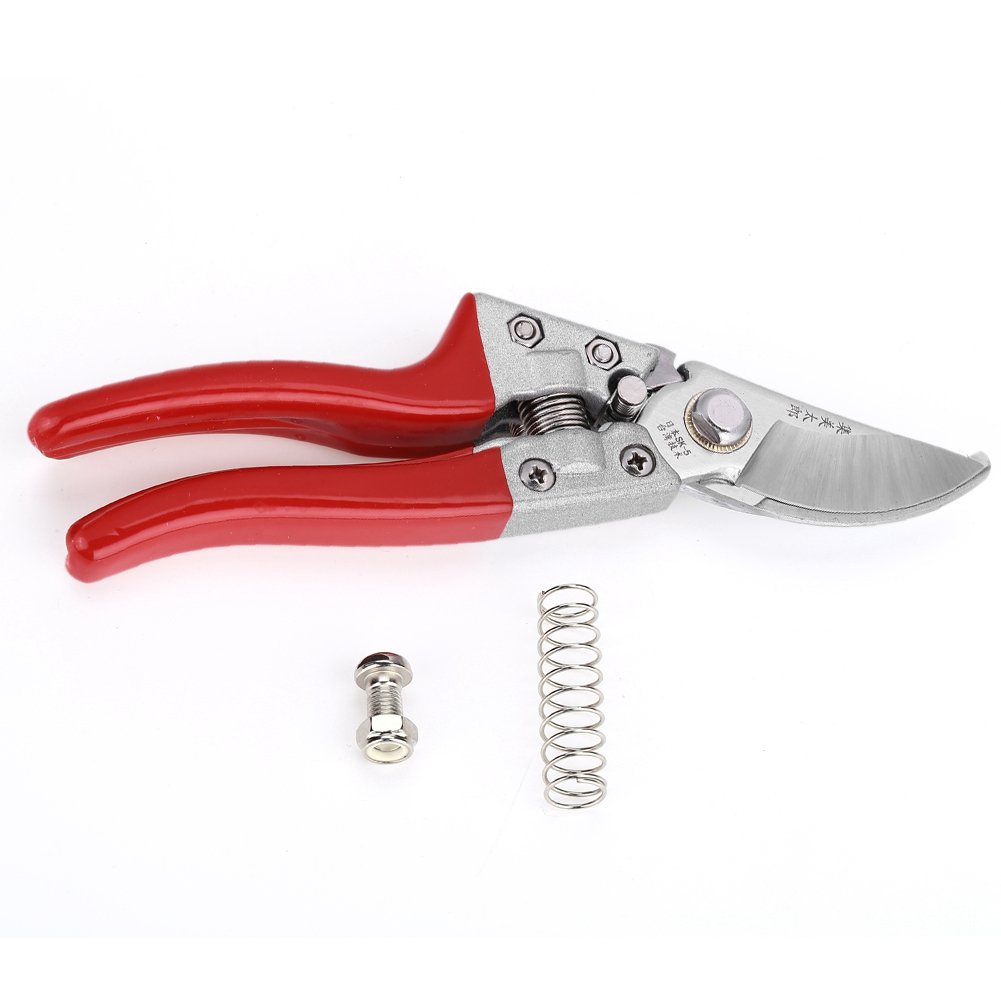 8 Inch Professional Garden Pruning Shears with Stained Plastic Handle - Sharp Grafting & Cutting Scissors for Plants, Flowers, Trees (1 Pack) - Perfect for Gardening, Landscaping & DIY Projects
