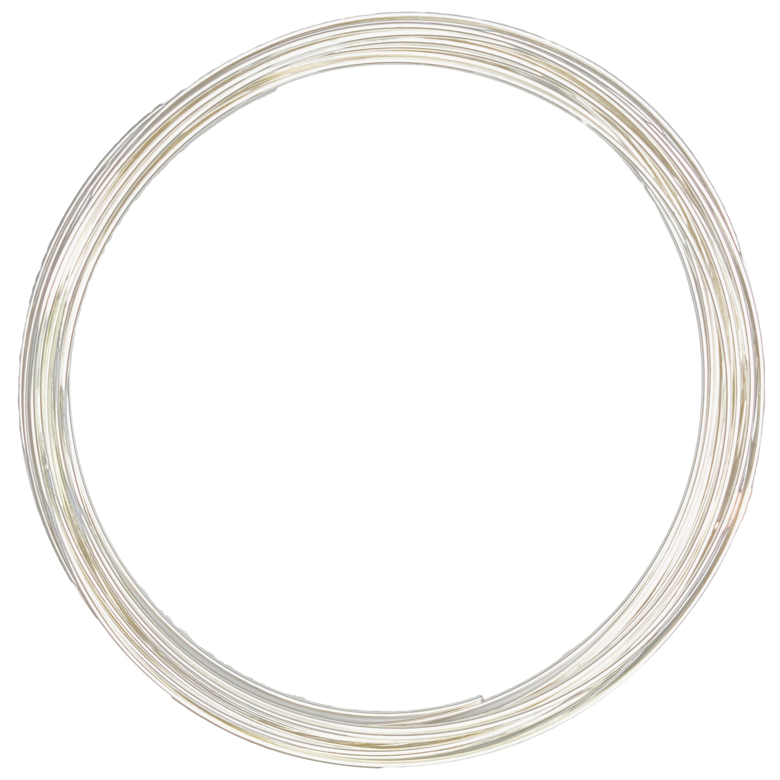 16 Gauge 999 Fine Silver Wire Round Dead Soft - 10 FT Jewelry Making Wire for DIY Bracelets, Necklaces & Rings - Premium Crafting Material for Jewelry Artists & Hobbyists