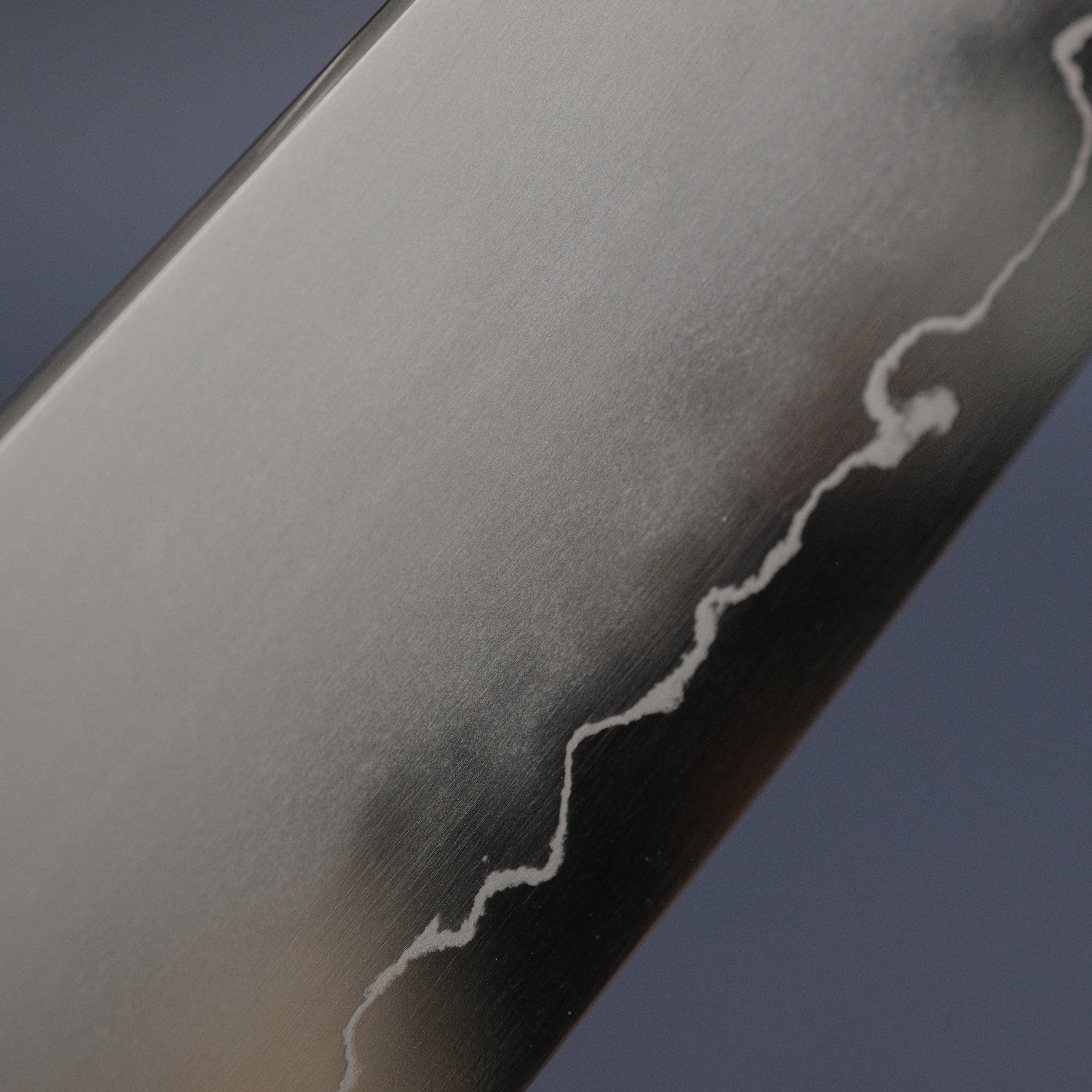 Premium Tetsujin Silver #3 Kasumi Kiritsuke Gyuto 270mm Japanese Chef Knife with Taihei Makassar Ebony Handle - Perfect for Sushi, Meat Slicing & Precision Kitchen Tasks
