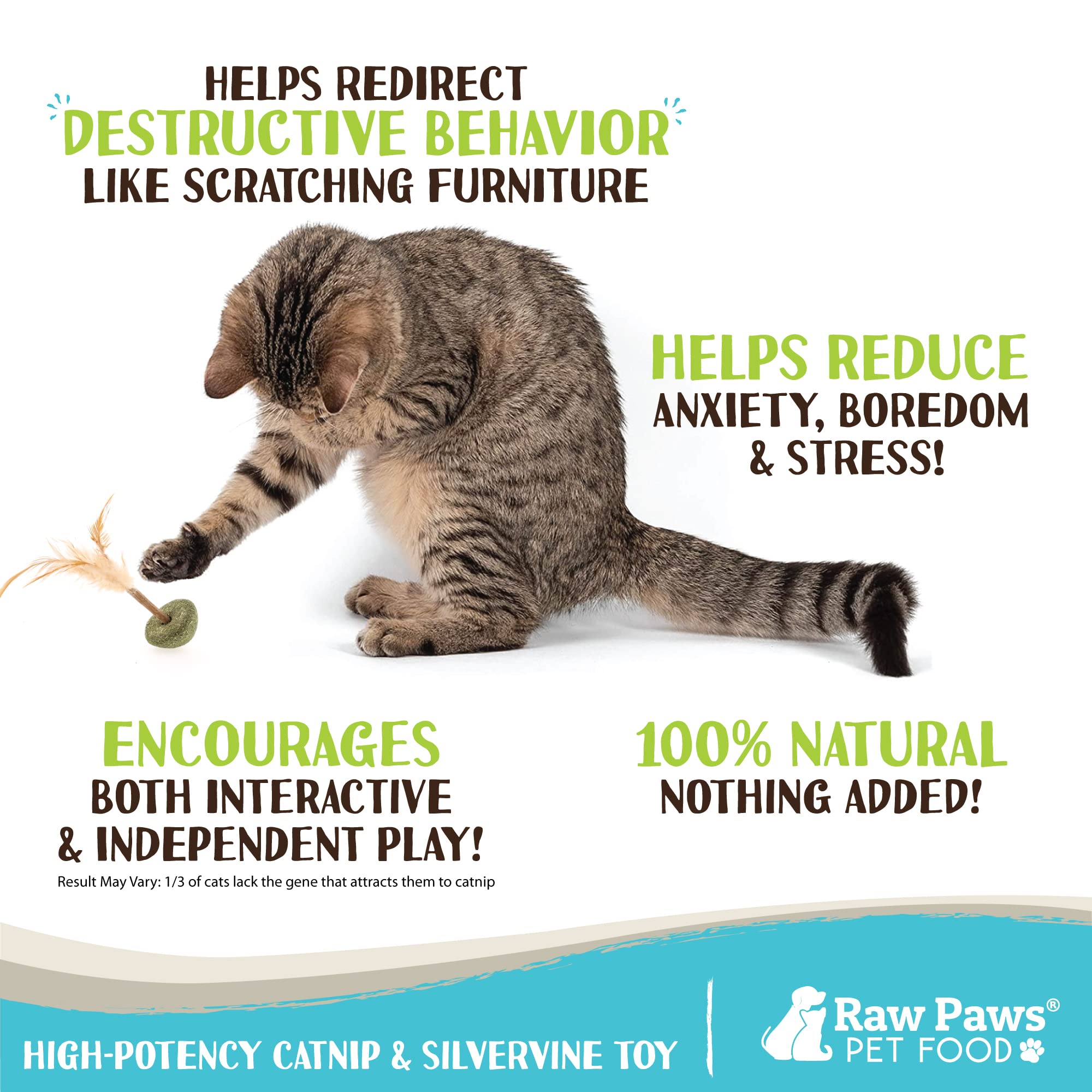 Raw Paws Silvervine Lollipop Cat Toys (3-Pack) - Feather Stimulation Toys for Indoor Cats - Interactive Catnip Kicker Toy with Feathers - Perfect for Playtime, Exercise & Bonding