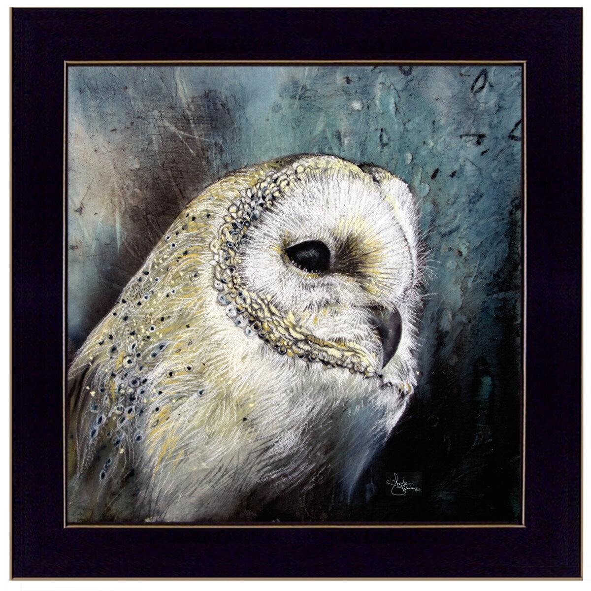 Barn Owl Framed Print by Sharlena Wood - Ready to Hang Wall Art with Black Frame - Perfect for Home Decor, Office & Living Room