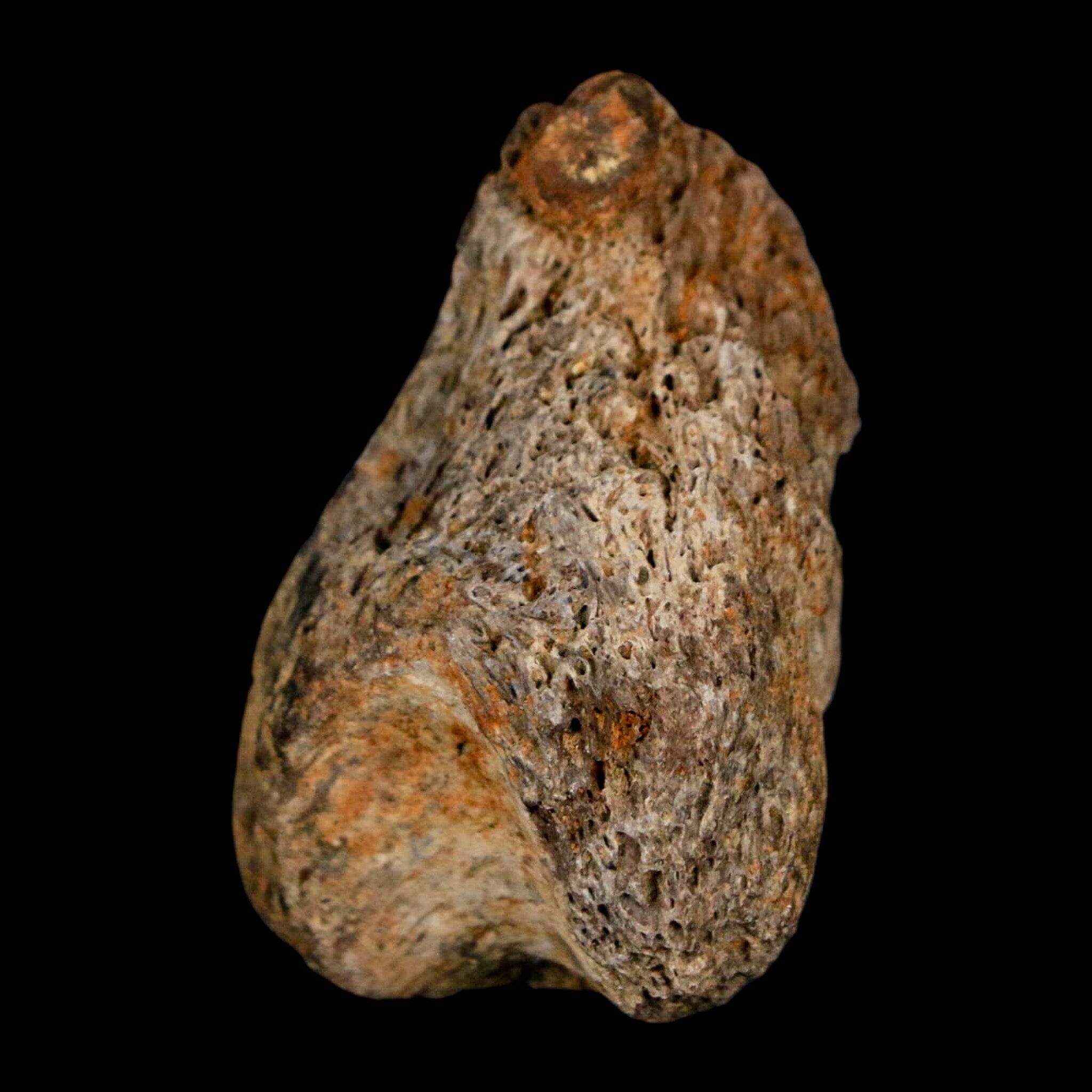 1.5