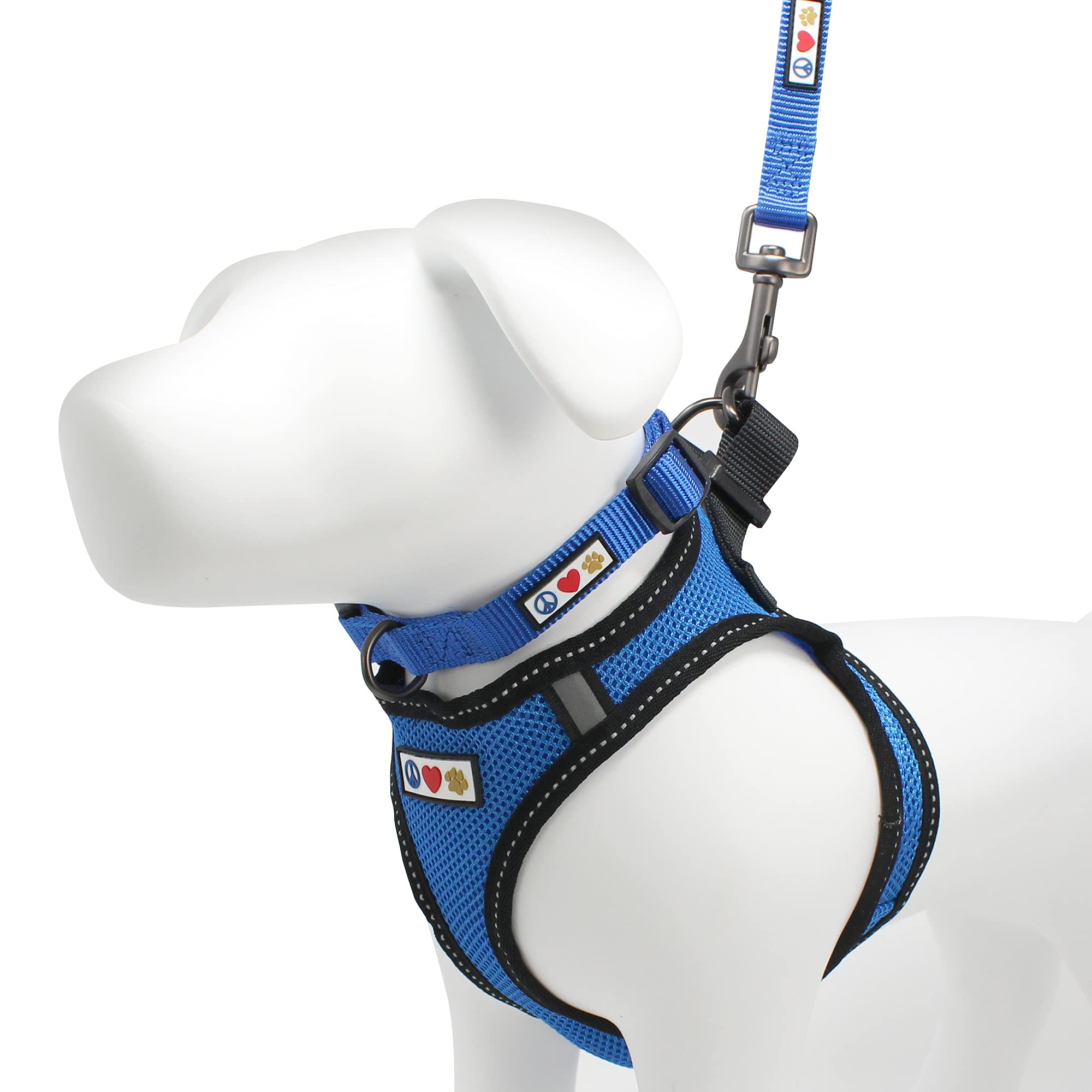 Pawtitas Reflective Mesh Dog Harness, Collar & Leash Set for Small Dogs - Blue | Adjustable & Comfortable for Walking, Training & Outdoor Adventures