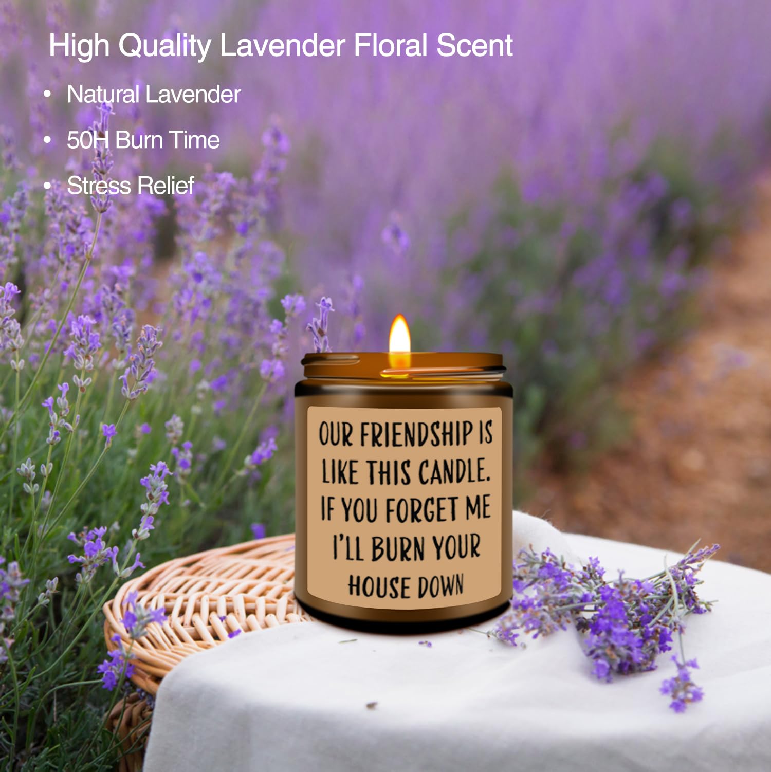 Premium Lavender Scented Soy Candle - Thoughtful Birthday & Christmas Gift for Women & Friends | Funny Friendship Candle for Home Decor, Relaxation & Aromatherapy