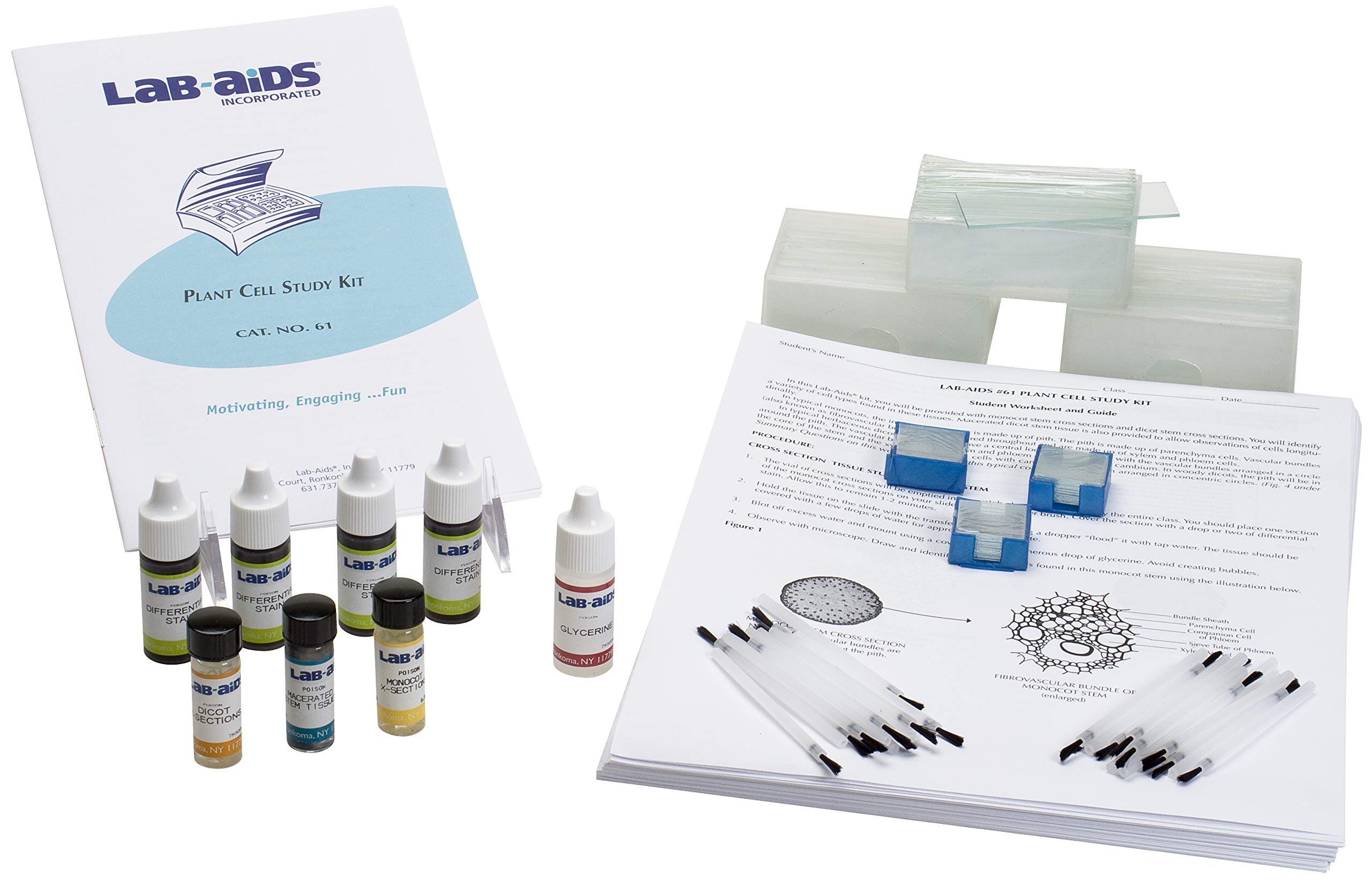 Lab-Aids Plant Cell Study Kit 61 - Science Classroom Supplies for Biology Education | Perfect for High School & Homeschool STEM Learning