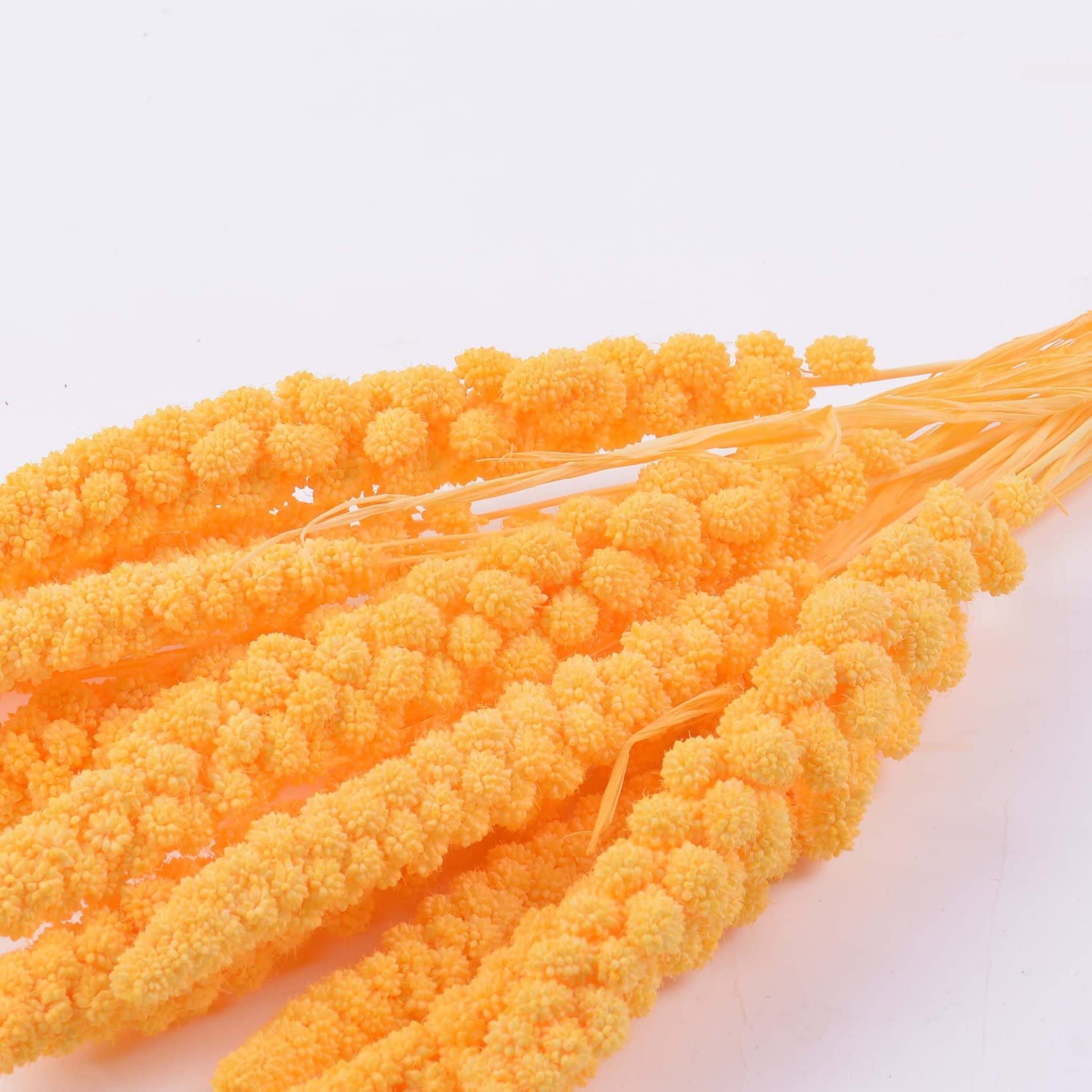 10 Pcs Natural Pampas Grass Bouquet - Dried Wheat Stems for Wedding Decor, Home Vase Filler, Table Centerpiece & Photography Props - Perfect for Boho Wedding, Farmhouse Decor & Fall Home Decorating