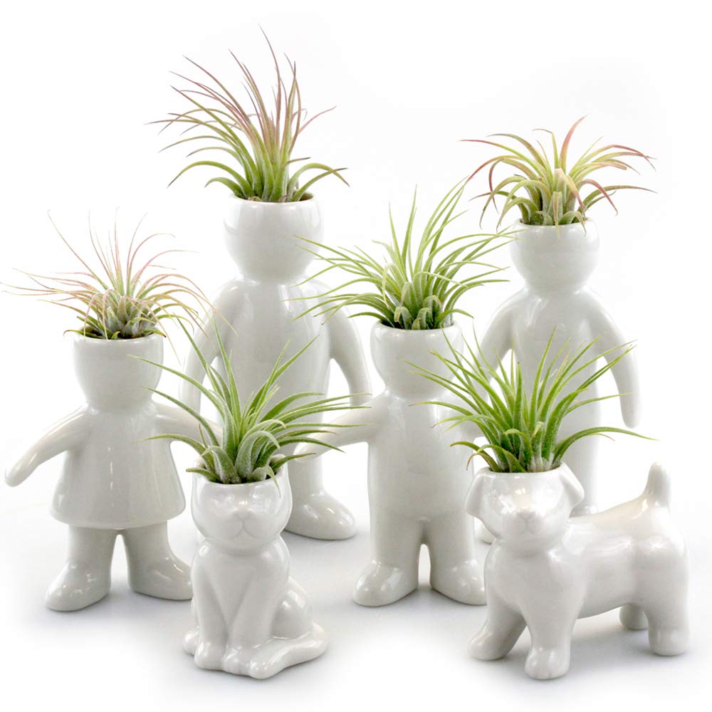 NW Wholesaler Ceramic Air Plant Holders - Family & People Shaped Planters for Tabletop Display - Perfect for Air Plants & Mini Succulents - Home Office Decor, Wedding Centerpieces, Gift Ideas