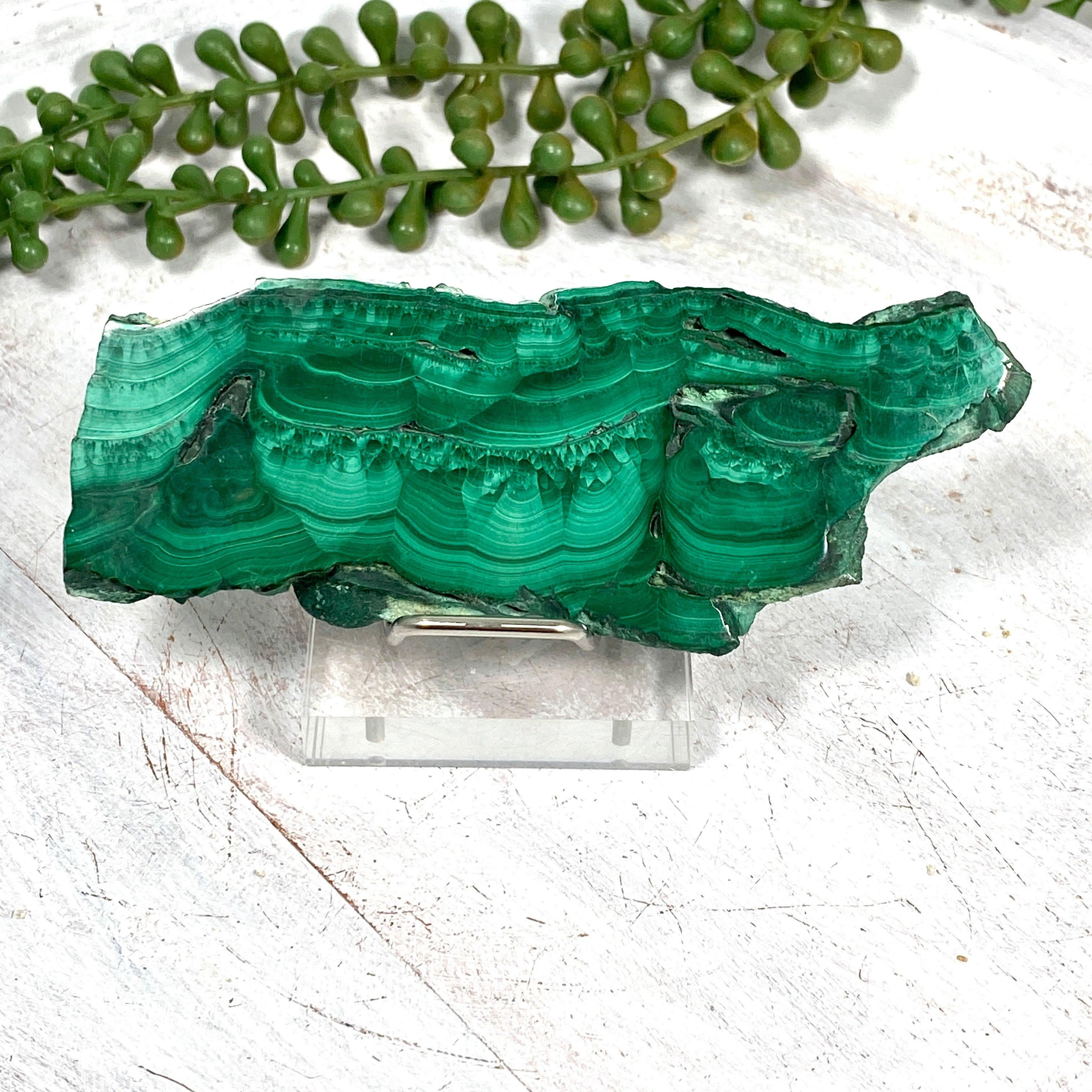 Natural Malachite Slice Stone - Polished Gemstone for Jewelry Making, Home Decor & Healing Crystals | Perfect for DIY Crafts, Meditation & Spiritual Gifts