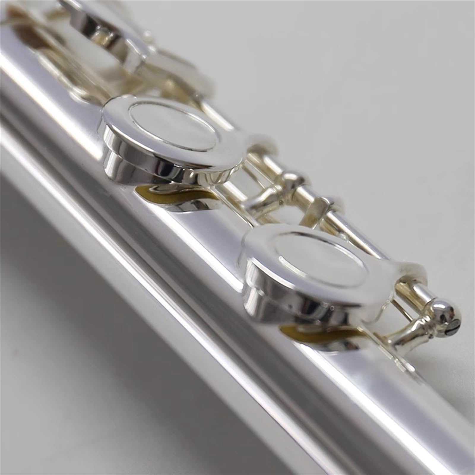 Professional C Key 16-Hole Closed Hole Flute for Beginners - Silver Plated Standard Flute Instrument with Case - Perfect for School Band, Music Lessons & Solo Performances
