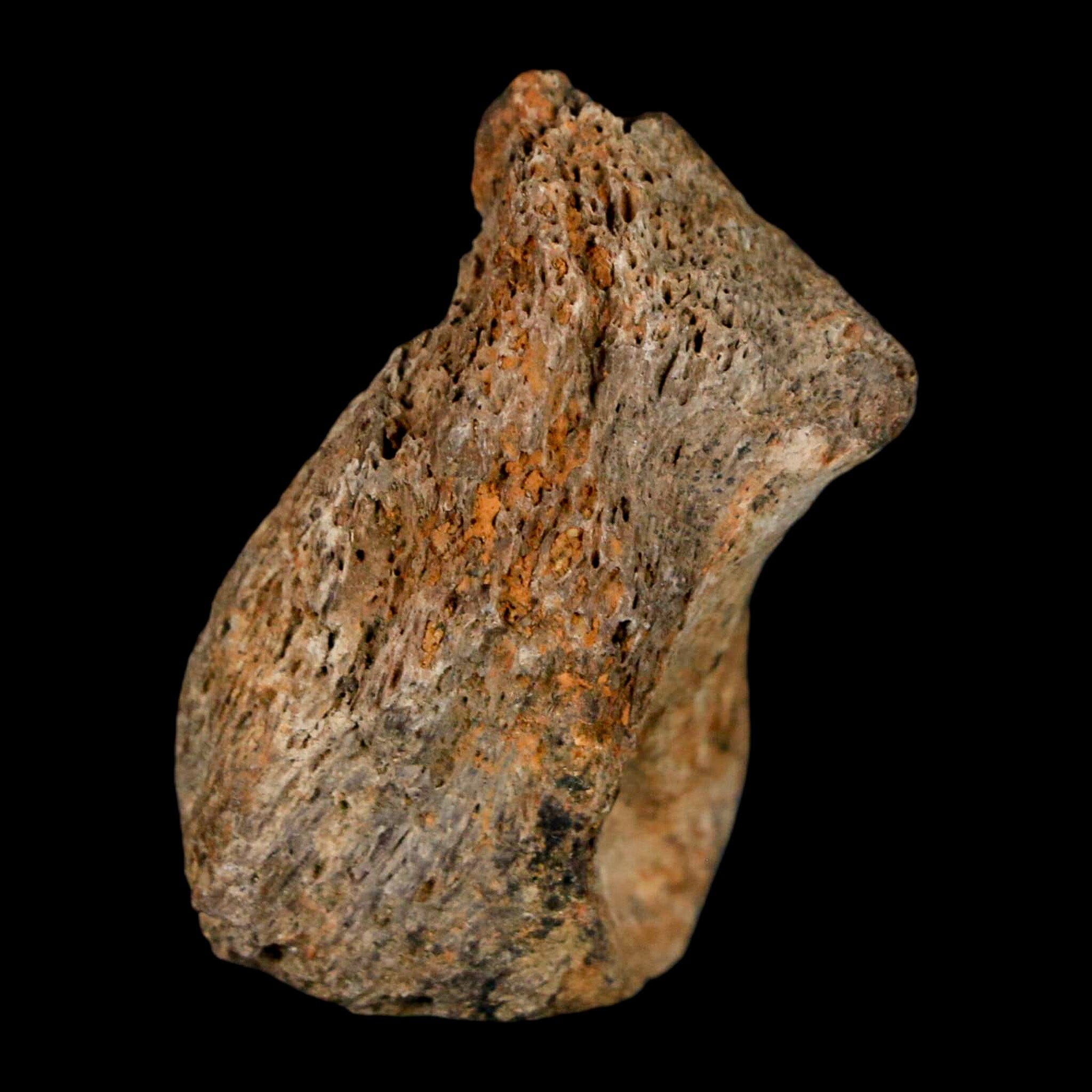 1.5