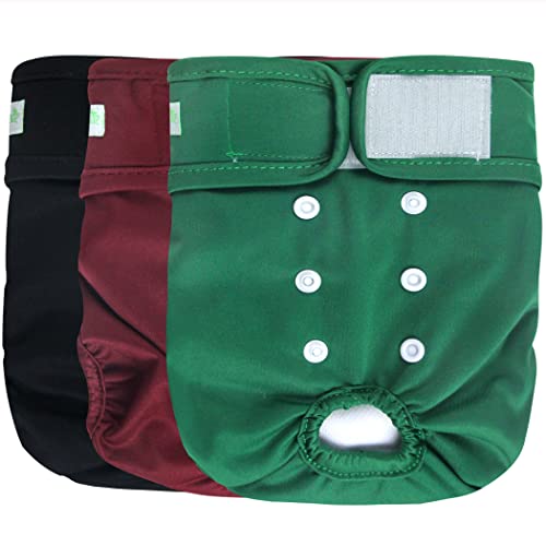 Burgundy, Black, Jade
