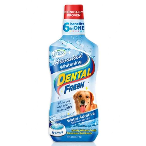 Synergy Labs Dental Fresh Dog Water Additive - 17oz Oral Care Solution for Fresher Breath & Teeth Whitening | Ideal for Dogs & Puppies at Home or Travel