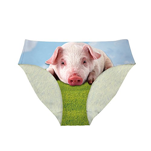 Pig