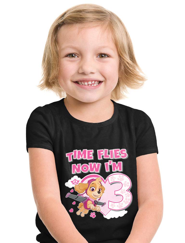 Paw Patrol Skye 3rd Birthday T-Shirt for Toddler Girls - Cute Kids Graphic Tee (4T Gray) | Perfect Birthday Gift, Party Outfit & Everyday Playwear