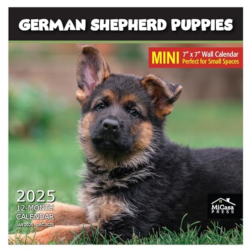 15A - German Shepherd Puppies