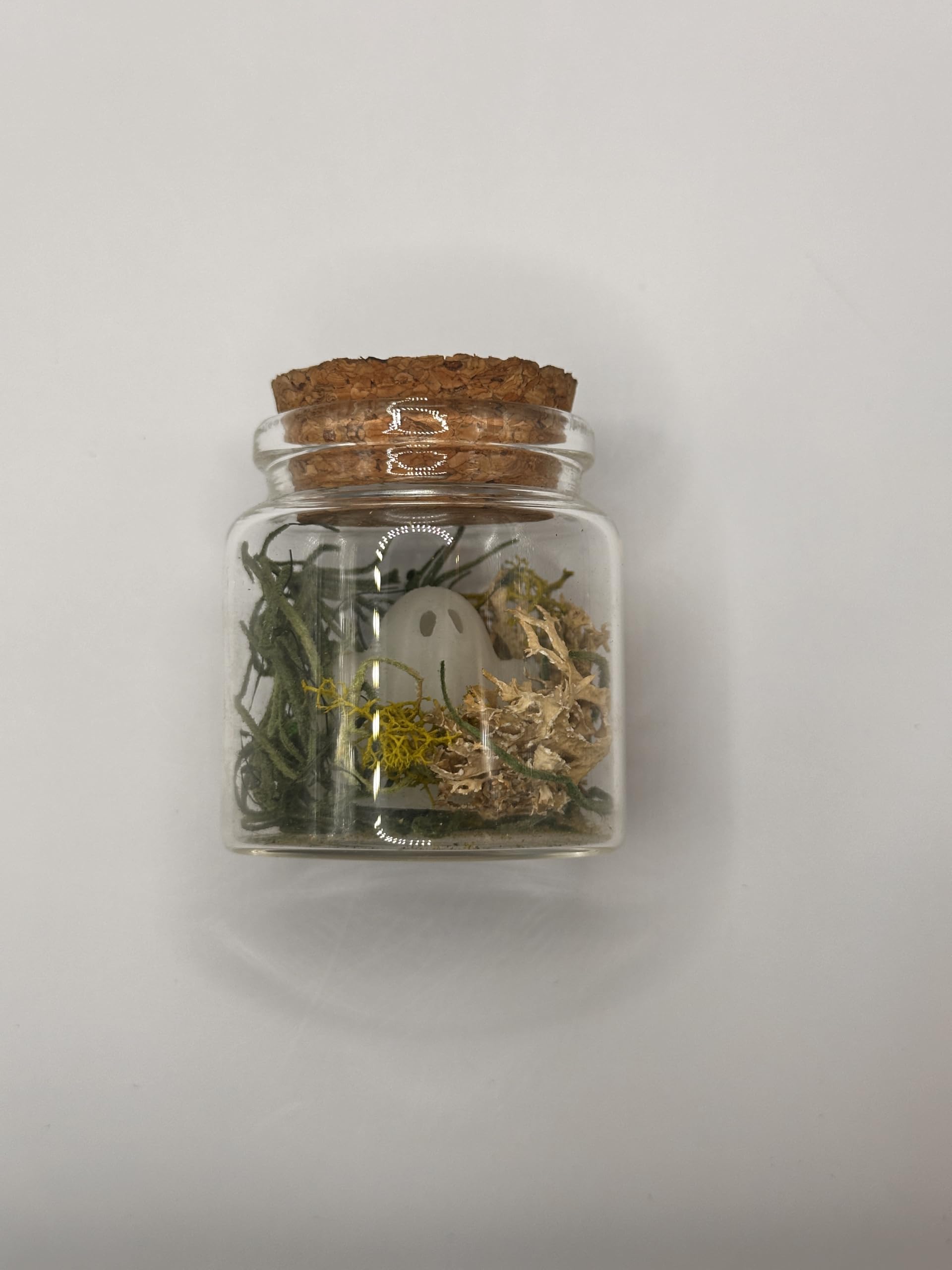 Glow-in-the-Dark Ghost in a Jar - Spooky Pet Decor for Halloween