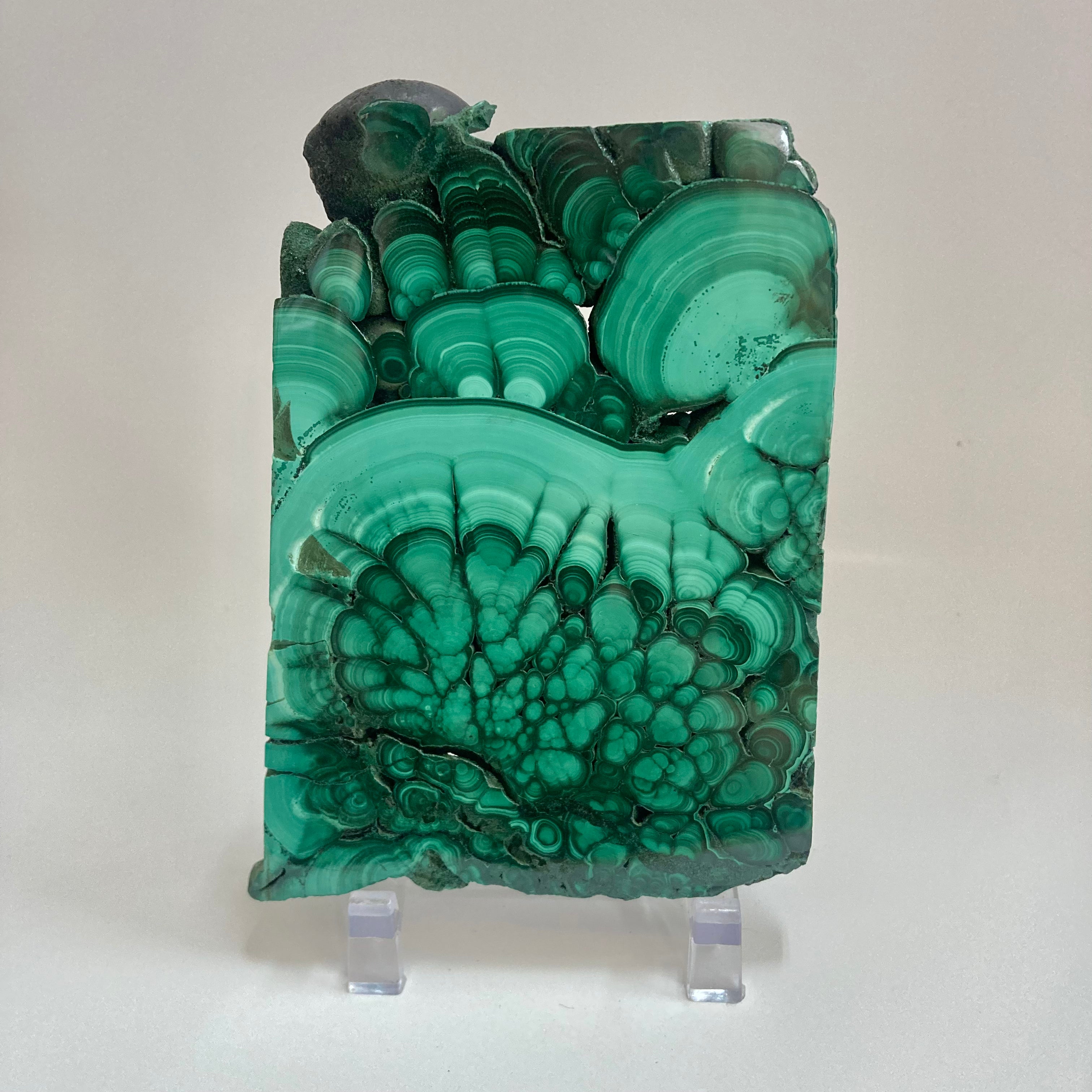 Malachite Lioness Statue - Handcrafted Stone Carving for Home Decor, Office Feng Shui & Spiritual Healing | Perfect Gift for Collectors & Crystal Lovers