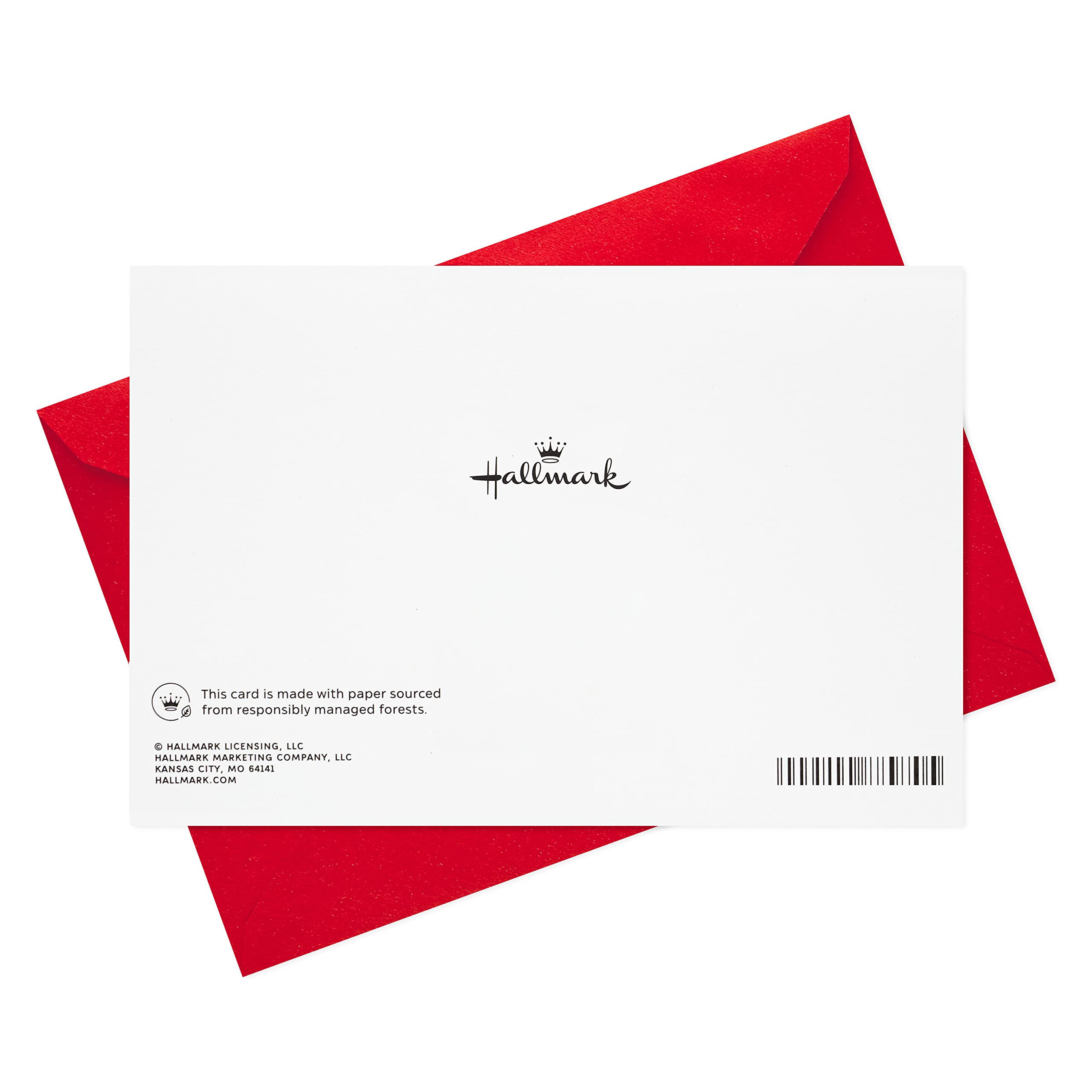 Hallmark Holiday Greeting Cards - 10 Pack with Envelopes | Christmas, Hanukkah, New Year Cards for Family & Friends | Perfect for Holiday Mailings, Office Gifts & Festive Celebrations
