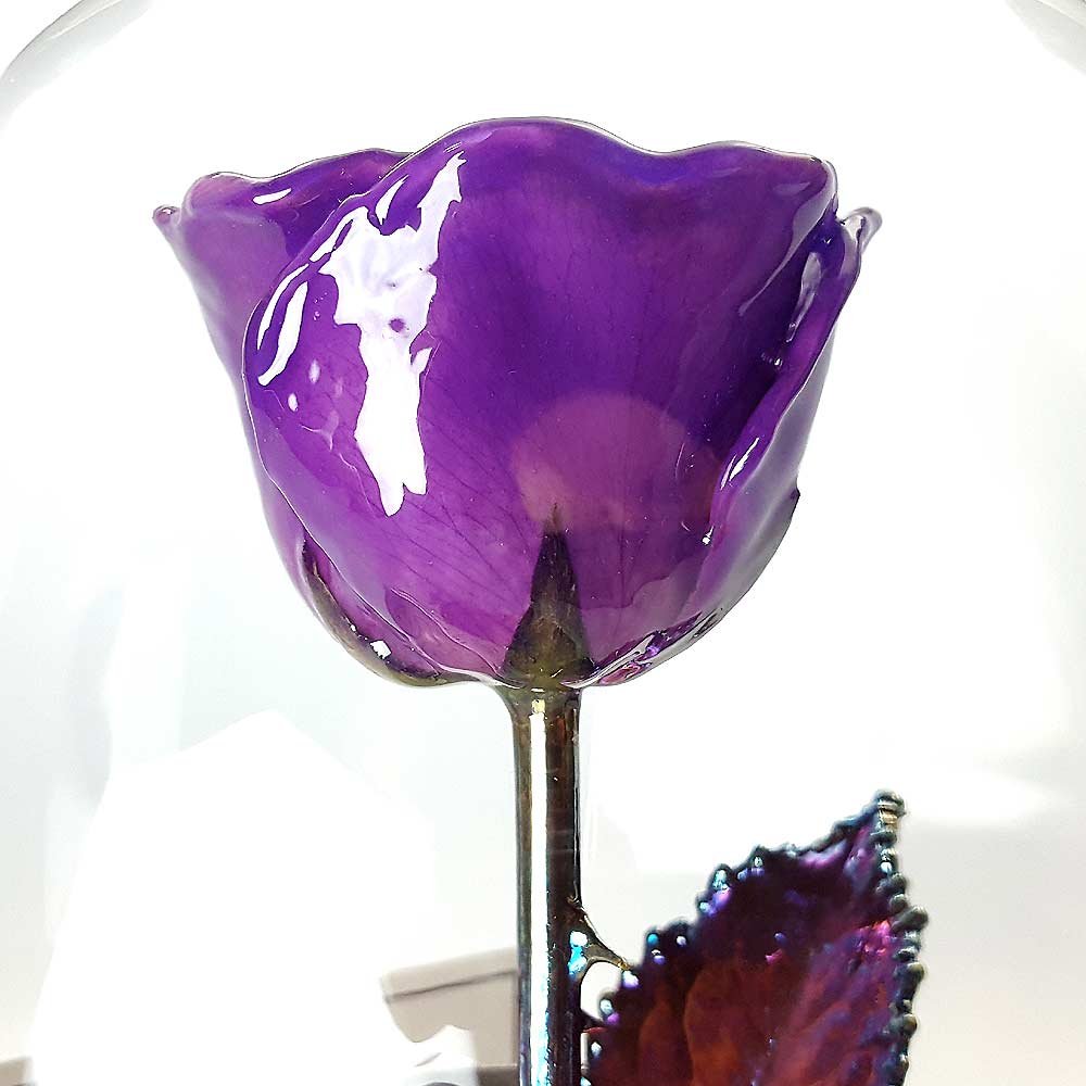 Forever Rose Enchanted Purple Preserved Rose in Glass Dome - Hand-Dipped Lacquer Rose with Copper Stem | Beauty and The Beast Inspired Flower | Romantic Gift for Women, Men, Anniversaries & Valentine's Day | Home Decor, Wedding Centerpiece & Luxury Gift Idea