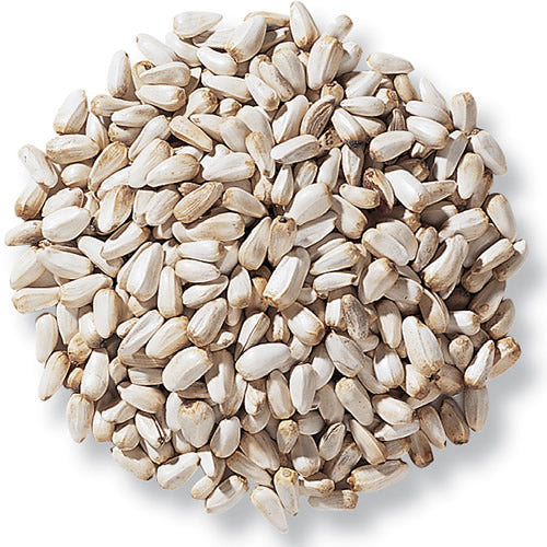 Premium Duncraft Safflower Wild Bird Seed - 5 lb Bag for Cardinals, Finches & Songbirds | Attract Beautiful Birds to Your Backyard Garden or Bird Feeder