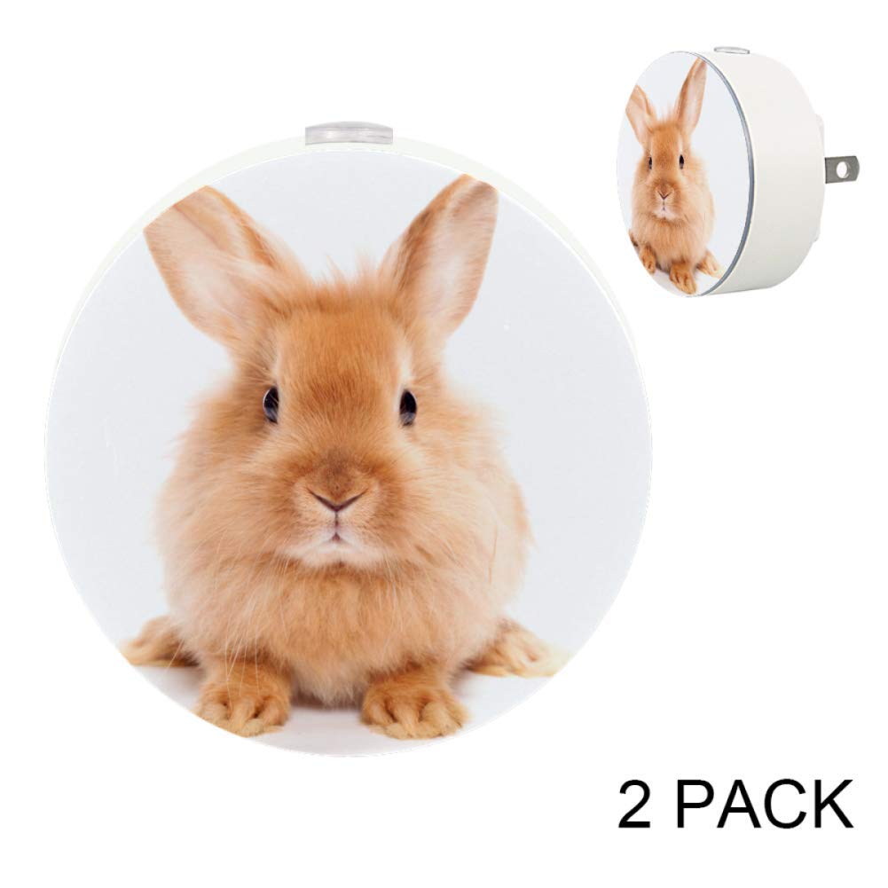 **Plug-in LED Night Light with Dusk-to-Dawn Sensor - Auto On/Off, Soft Glow for Bedroom, Nursery, Kids Room, Hallway - Cute Rabbit Design on White Background (Perfect for Nighttime Safety & Comfort)**