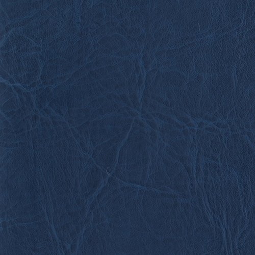 *Navy