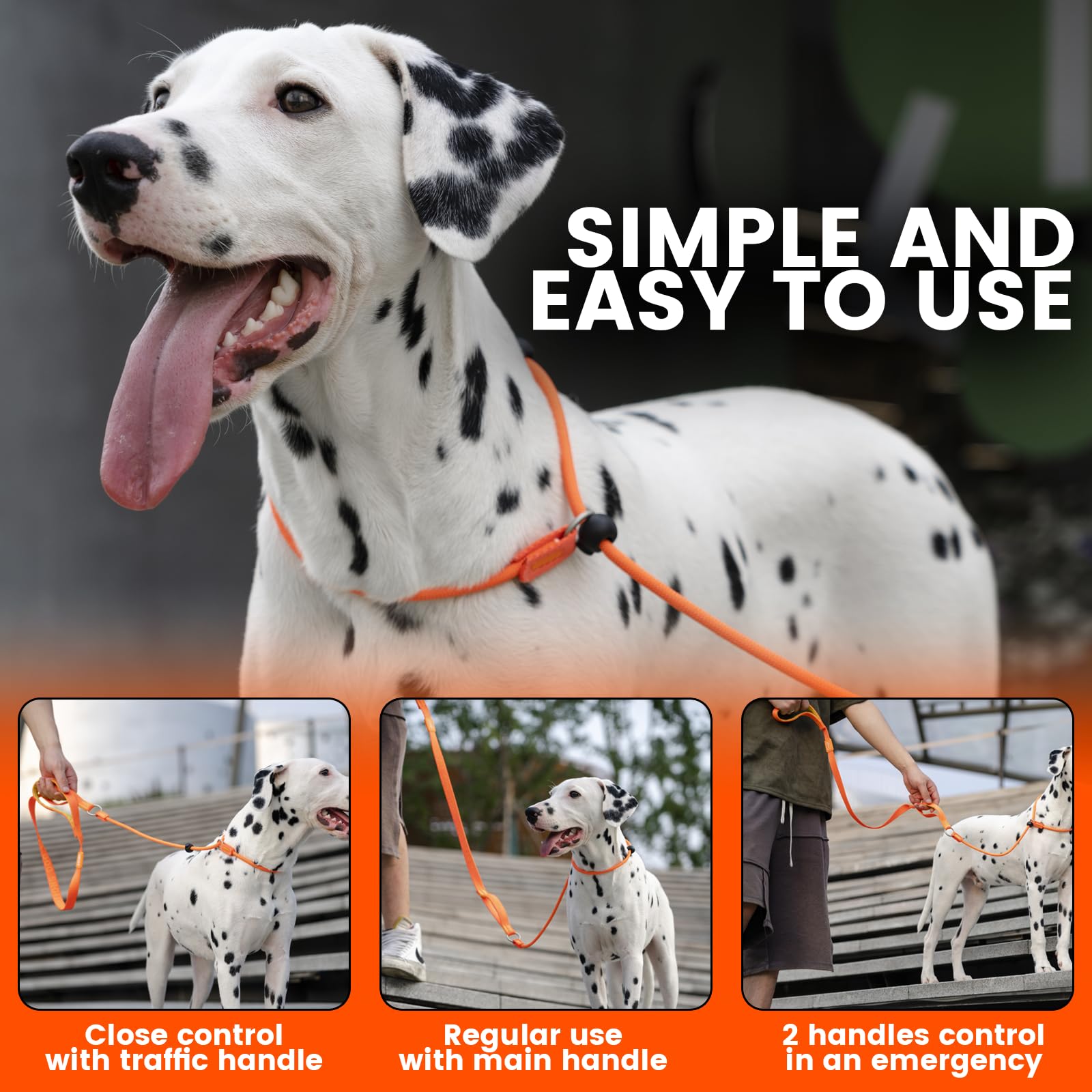 **Howgo No-Pull Dog Slip Lead Leash & Collar - Heavy Duty Nylon Training Leash with Padded Handle for Small, Medium & Large Breeds (Purple, 5FT) - Perfect for Walking, Training & Outdoor Adventures**