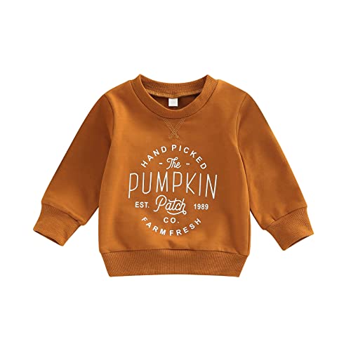 Sweatshirt Pumpkin Patch Brown