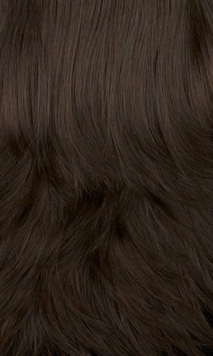 4H (Dark Brown) / (Medium Brown) Highlights