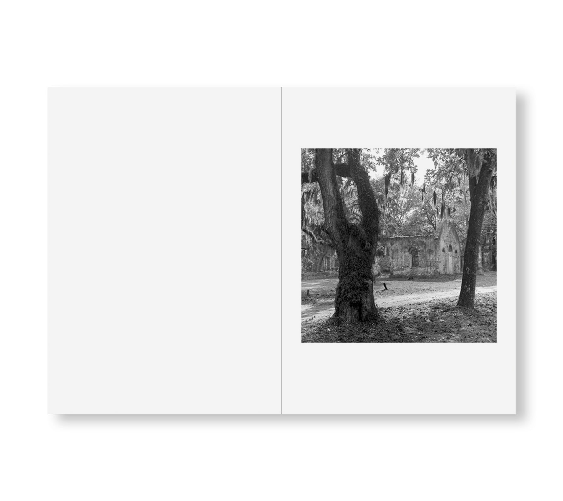 ONE PICTURE BOOK TWO #40: SEA ISLANDS by Carrie Mae Weems - Photography Art Book, Contemporary Visual Storytelling - Perfect for Art Collectors, Photography Enthusiasts & Home Decor