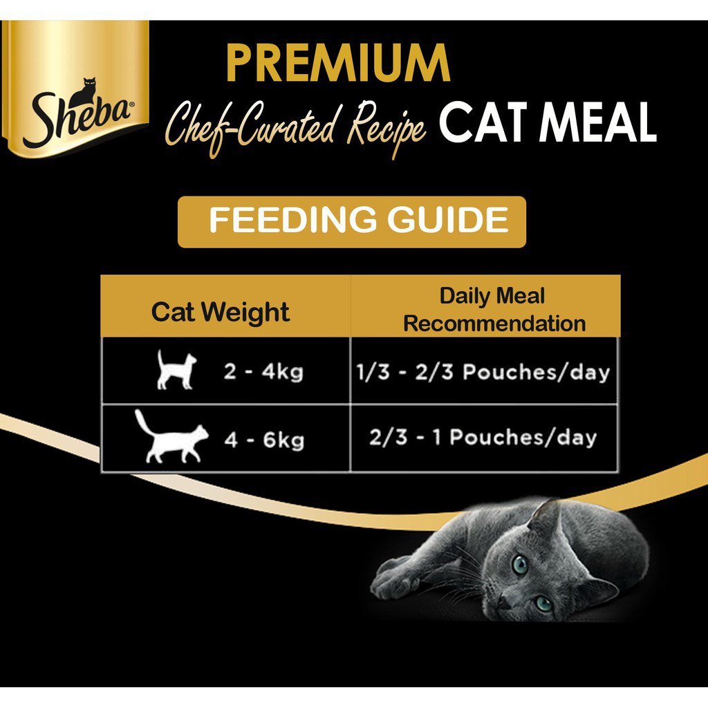 Sheba Premium Wet Cat Food Pouch - Nutrient Rich, Grain-Free, Tender Meat in Sauce - 70g (2.47oz) - Perfect for Adult Cats & Kittens - Ideal for Mealtime, Treats, or Travel Feeding