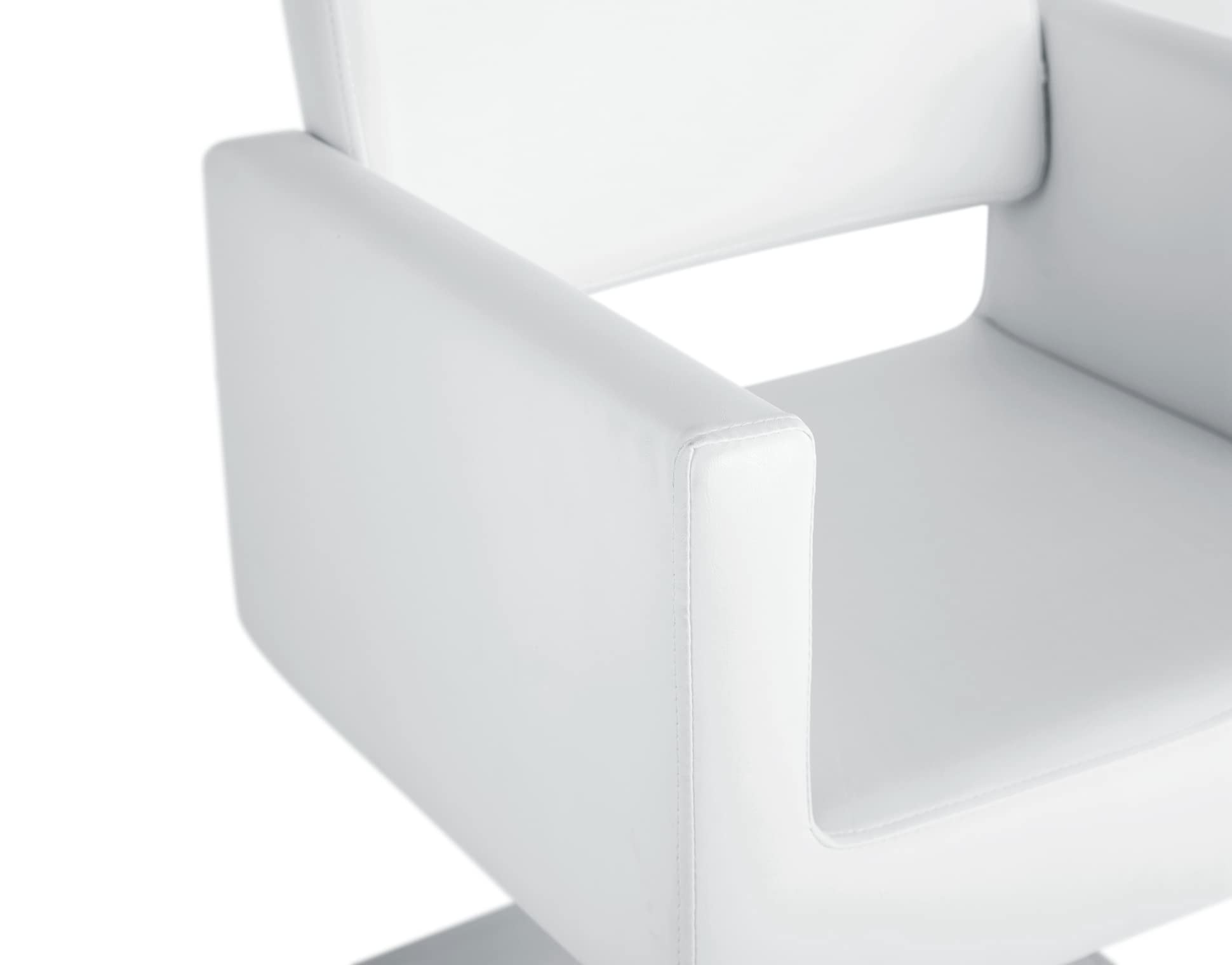 Professional Hydraulic Salon Chair for Hair Stylists & Barbers - Adjustable Beauty Chair with Pump for Hair Salons & Barber Shops - Perfect for Haircuts, Styling & Beauty Treatments