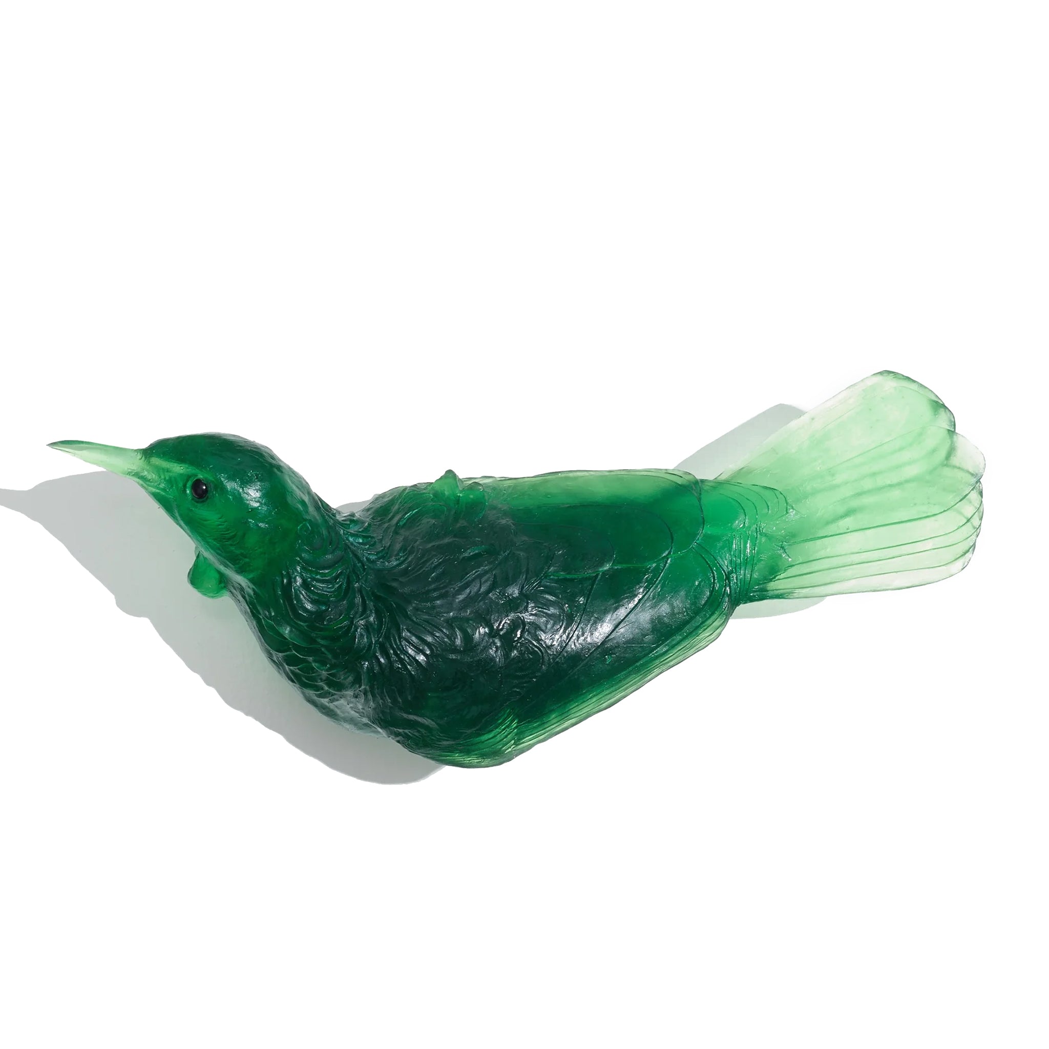Handcrafted Glass Tui Bird Wall Sculpture | Modern Home Decor Art by Luke Jacomb Studio | Perfect for Living Room, Bedroom & Office Wall Decor