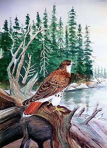 Premium Red-Tailed Hawk Wooden Jigsaw Puzzle - 200 Piece Challenging Puzzle for Adults & Kids, Large Family Board Game (13.77