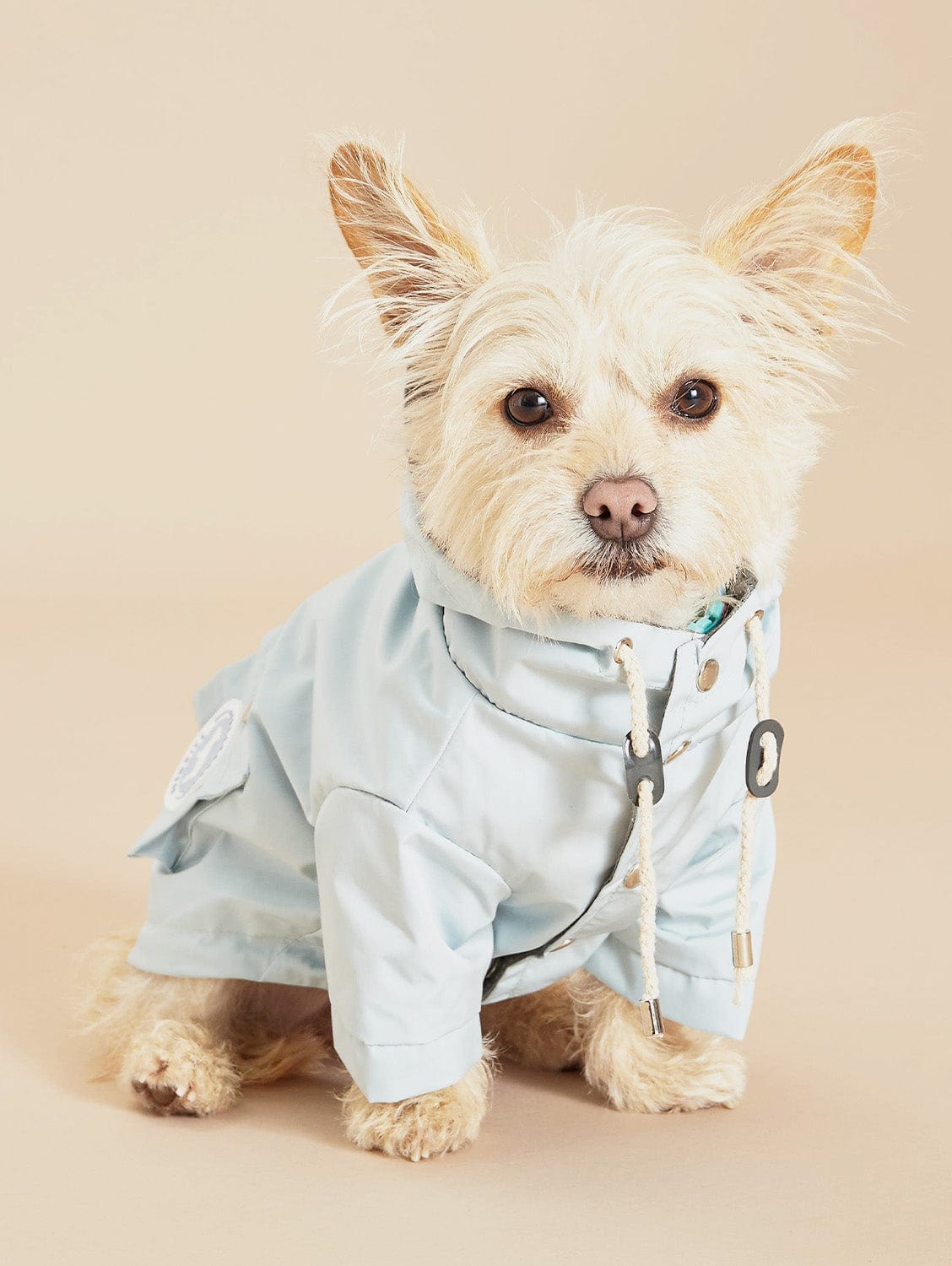 Waterproof Dog Raincoat for Small & Large Breeds - Lightweight & Durable Blue Pet Rain Jacket - Perfect for Walking, Hiking & Outdoor Adventures