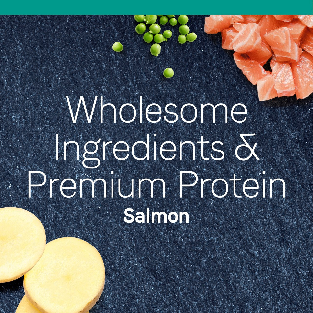 Premium Grain-Free Dry Cat Food with Salmon - High Protein, Natural Ingredients for Adult Cats - Perfect for Indoor & Outdoor Cats, Sensitive Stomachs, and Healthy Coat Maintenance