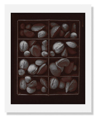 Olivia Parker Mixed Nuts Ephemera Portfolio - Vintage Style Scrapbooking Supplies for Junk Journals, Card Making & Mixed Media Art Projects